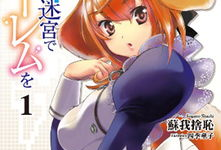 在异世界迷宫开后宫漫画,奇幻冒险与爱情交织的迷宫传说